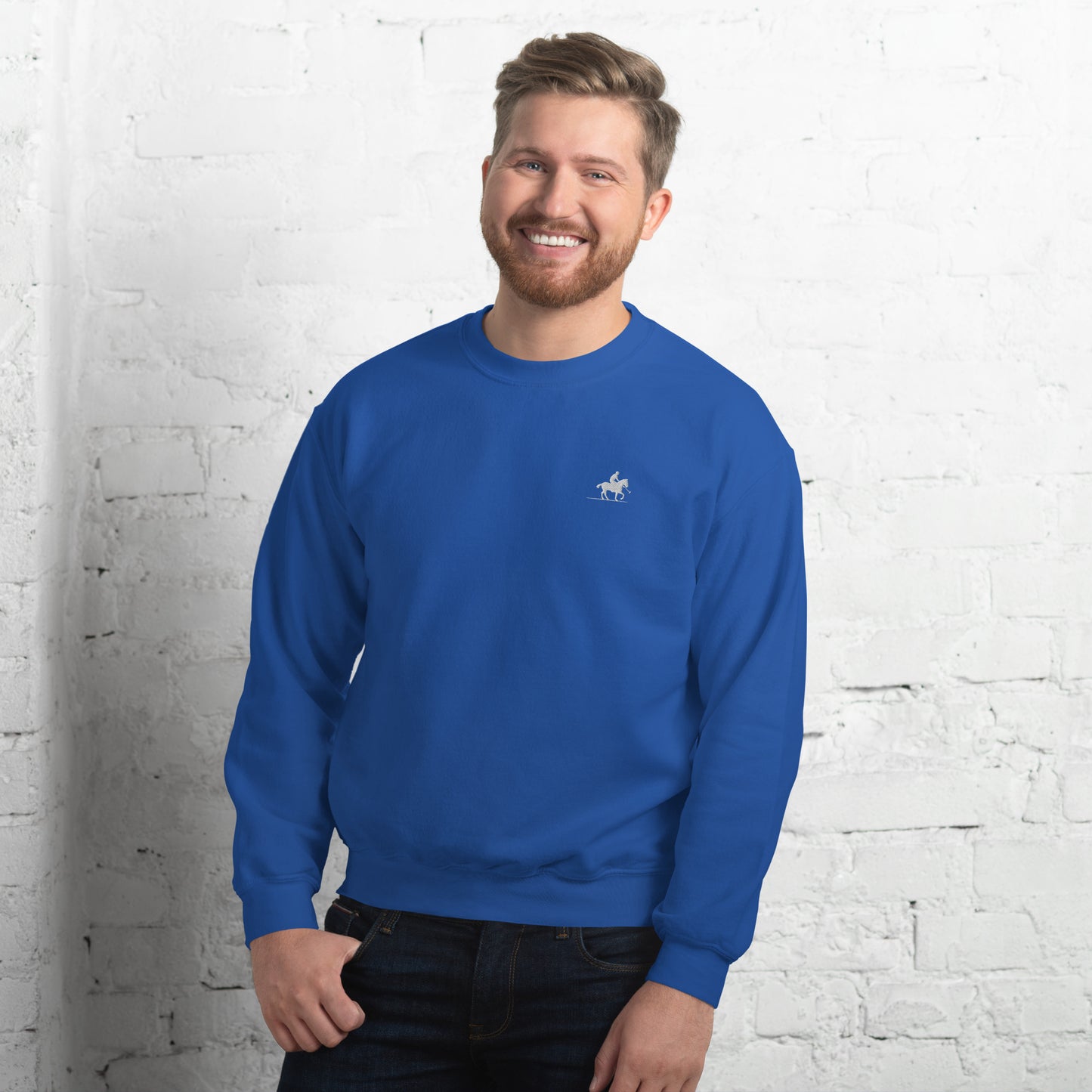 Polo Men/Unisex Sweatshirt